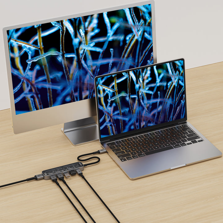 Bonelk Vision Long-Life USB-C to 6in1 Multiport Hub (inc SD) -  Clear